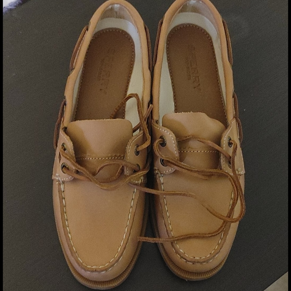 Sperry Rudder